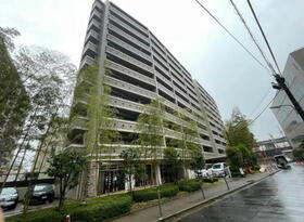 東京都品川区大崎１ 11階建 築24年11ヶ月