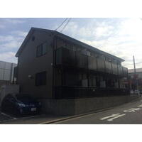 アンプルールリーブルキニーネSUN