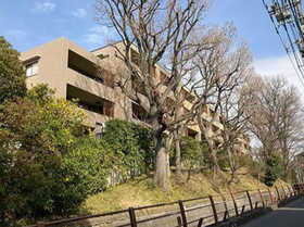 東京都世田谷区等々力１ 地上3階地下1階建 築22年4ヶ月
