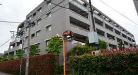 東京都中野区白鷺３ 5階建 築24年5ヶ月