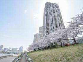 東京都中央区佃２ 地上43階地下2階建 築23年11ヶ月