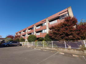 静岡県浜松市中央区小豆餅２ 3階建 築35年2ヶ月