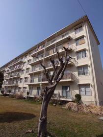 兵庫県川西市清和台東４ 5階建 築50年7ヶ月