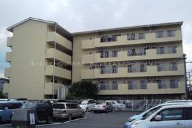 大阪府守口市橋波東之町３ 賃貸マンション