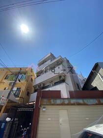 ムーンライト大桐