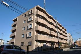 静岡県浜松市中央区葵西５ 5階建 築26年