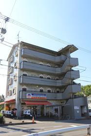 愛媛県松山市湯渡町 5階建 築29年4ヶ月
