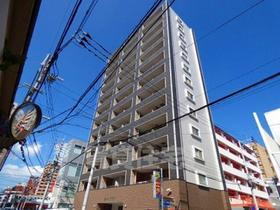 福岡県福岡市中央区平尾１ 13階建 築16年5ヶ月