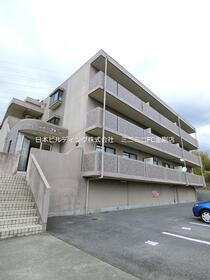 Ｂｒｅｅｚｅ　ｃｏｕｒｔ