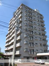 愛知県名古屋市北区城東町３ 10階建 築32年8ヶ月