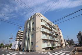 広島県広島市佐伯区海老園４ 5階建 築52年7ヶ月