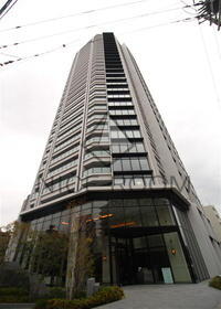 ザ・ファインタワーウエストコースト 29階建