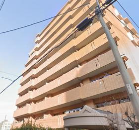 福岡県福岡市中央区荒戸３ 10階建 築28年9ヶ月