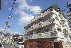 兵庫県神戸市東灘区深江北町３ 5階建 築36年5ヶ月