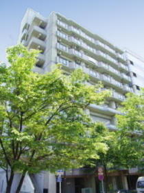 神奈川県横浜市港北区新横浜３ 10階建 築26年3ヶ月