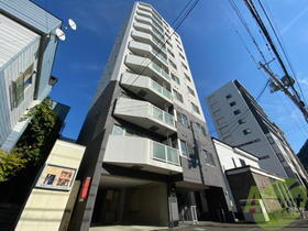 北海道札幌市中央区南二条西２７ 11階建 築17年6ヶ月