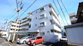 愛媛県松山市中村４ 5階建 築33年4ヶ月