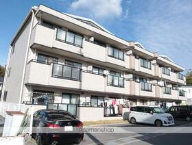 ウィスタリア藤