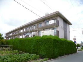静岡県浜松市中央区曳馬３ 3階建 築44年8ヶ月