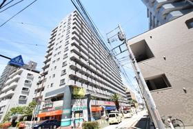 神奈川県相模原市中央区淵野辺３ 14階建 築31年6ヶ月