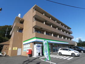 Ｃｓ１４ＭＩＮＥＧＩＳＨＩ