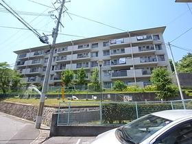 兵庫県宝塚市青葉台１ 5階建 築54年4ヶ月