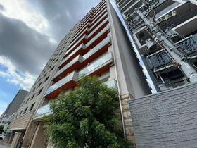 Ｃ．Ｐ．Ｐｕｒｅ１６０８（シーピーピュア）