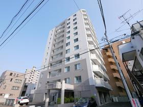 北海道札幌市中央区南十一条西６ 11階建 築17年4ヶ月