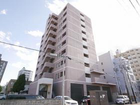 北海道札幌市中央区南十一条西１３ 10階建