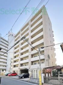 ｗｉｌｌＤｏ金山正木