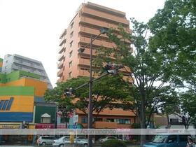 和歌山県和歌山市三木町南ノ丁 12階建 築37年2ヶ月