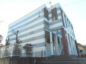 神奈川県藤沢市白旗２ 2階建 築22年11ヶ月