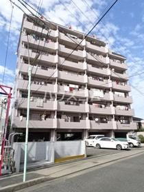 愛知県名古屋市中川区西中島１ 8階建 築31年4ヶ月