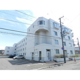 ドミール大川 地上4階地下1階建