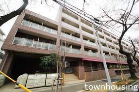 神奈川県横浜市青葉区美しが丘２ 地上5階地下1階建 築19年4ヶ月