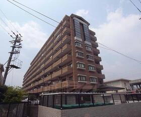 京都府京都市南区吉祥院中島町 8階建 築29年2ヶ月