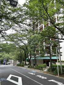 東京都港区六本木６ 地上18階地下2階建 築21年2ヶ月