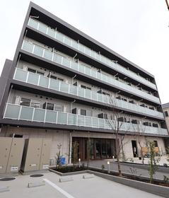 神奈川県川崎市多摩区中野島５ 5階建 築1年未満