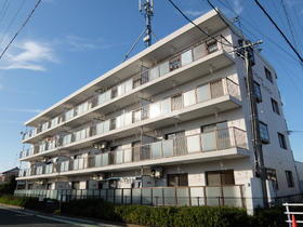 静岡県浜松市中央区渡瀬町 4階建 築28年10ヶ月