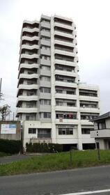 愛知県豊橋市下地町字宮腰 12階建 築36年4ヶ月
