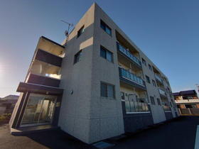 静岡県浜松市中央区初生町 3階建 築9年4ヶ月