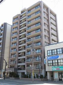 北海道札幌市中央区南九条西９ 11階建 築23年5ヶ月