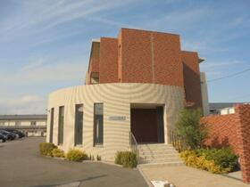 Ｃｅｌｅｓｔｅ　Ｊｕｎｏ