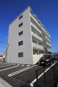 愛媛県松山市中村５ 5階建 築1年10ヶ月