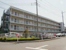 神奈川県相模原市南区上鶴間本町１ 4階建 築29年4ヶ月