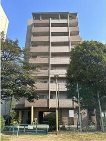 ファインコート