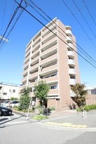 ガランテアベニダ