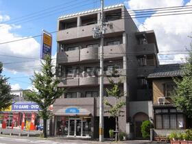 ゴールドクレスト