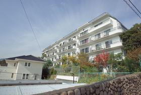 兵庫県神戸市東灘区住吉山手４ 5階建 築55年3ヶ月