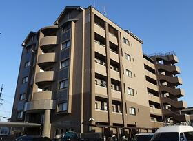 ジェンティール・アドニス